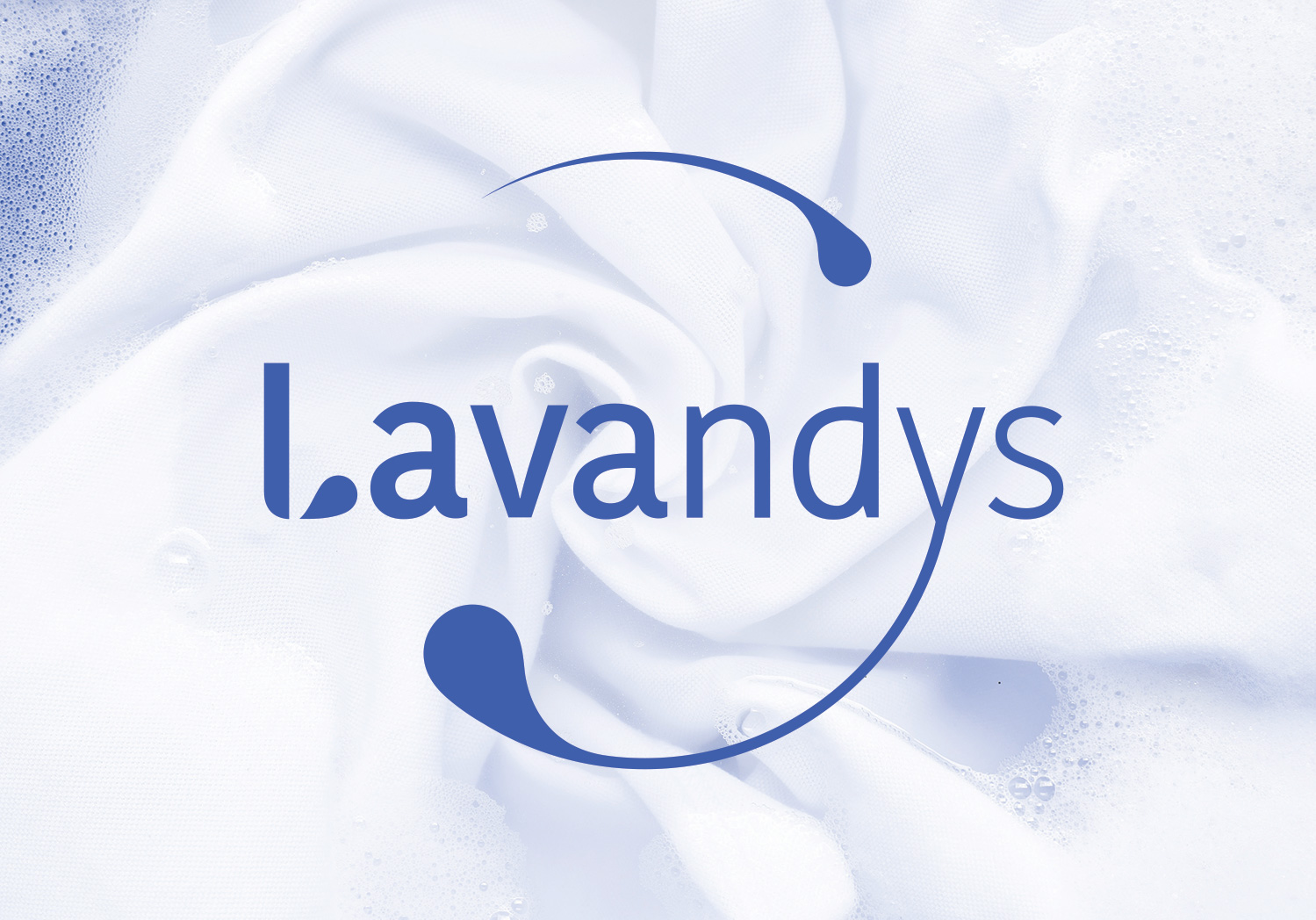 photo-de-couverture-lavandys