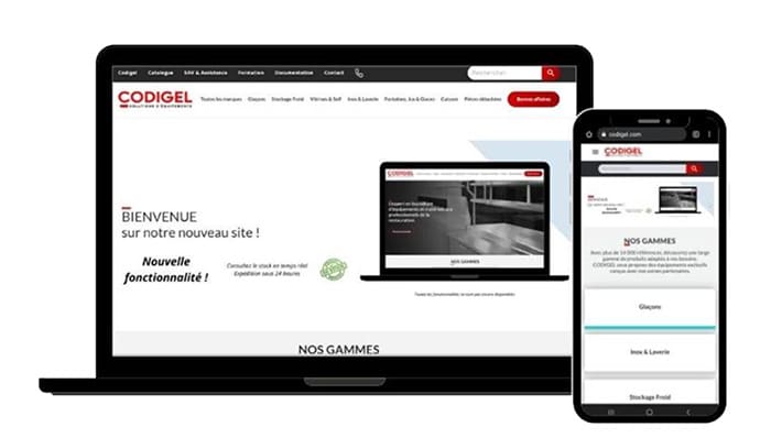 equipement-professionnel-cuisine-codigel